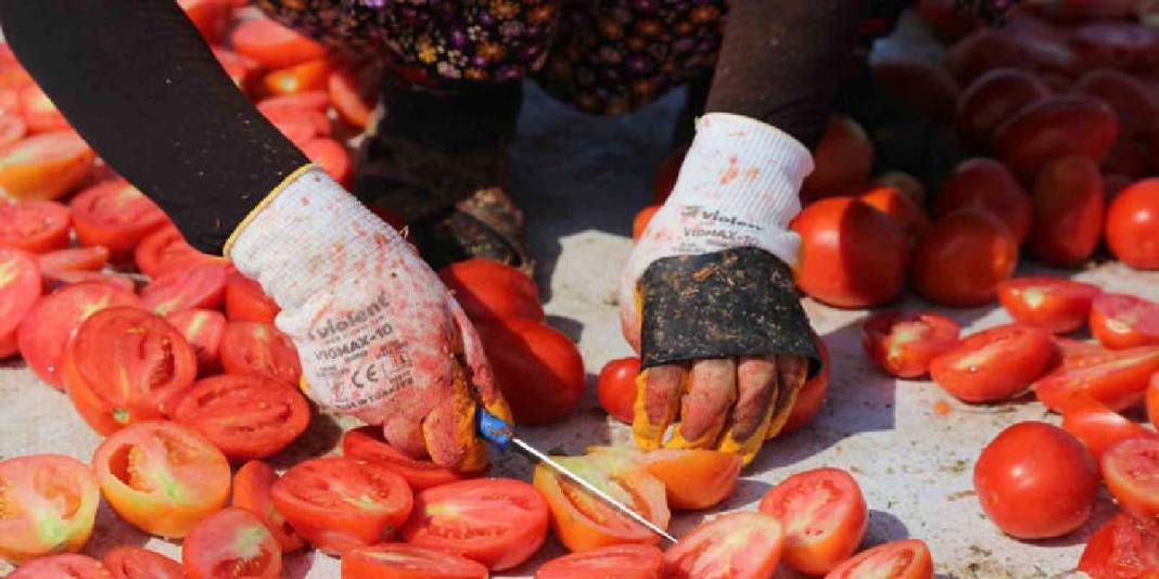 Kırmızının en güzel hali! Ser, kurut, şöleni izle: Bölgenin en önemli geçim kaynaklarından 3